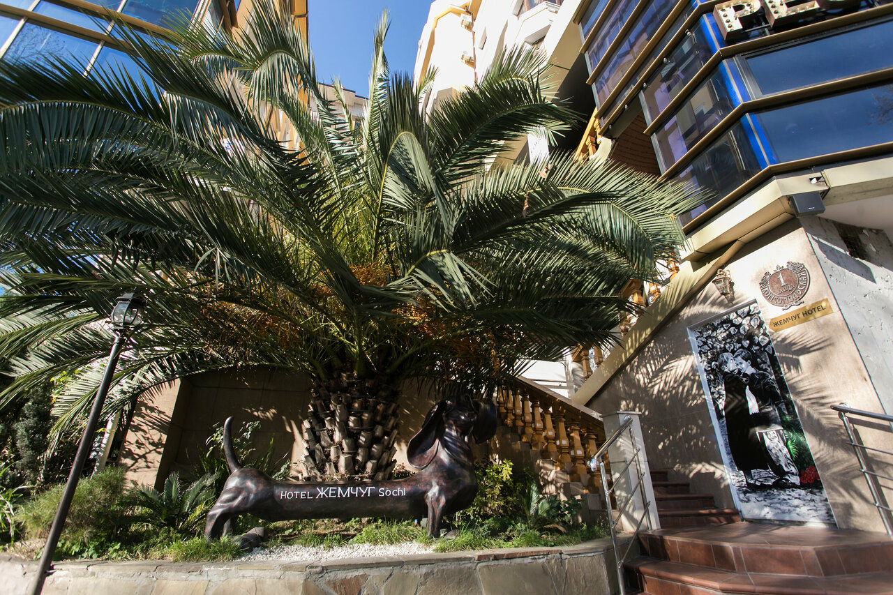 Гостиница Жемчуг Сочи-162