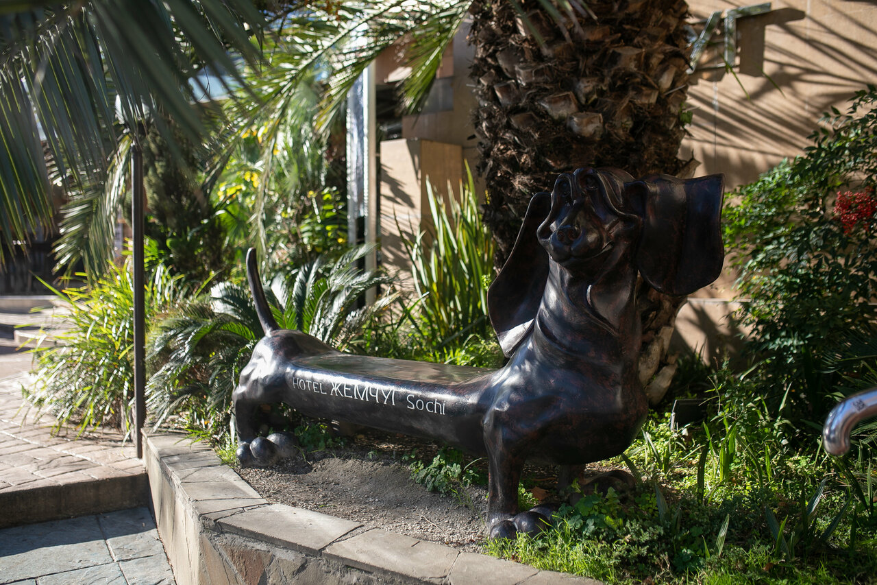 Гостиница Жемчуг Сочи-178