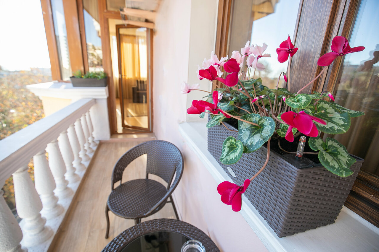 Гостиница Жемчуг Сочи-39