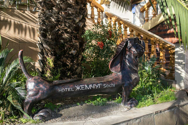 Гостиница Жемчуг Сочи-174