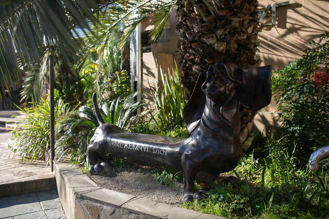 Гостиница Жемчуг Сочи-177