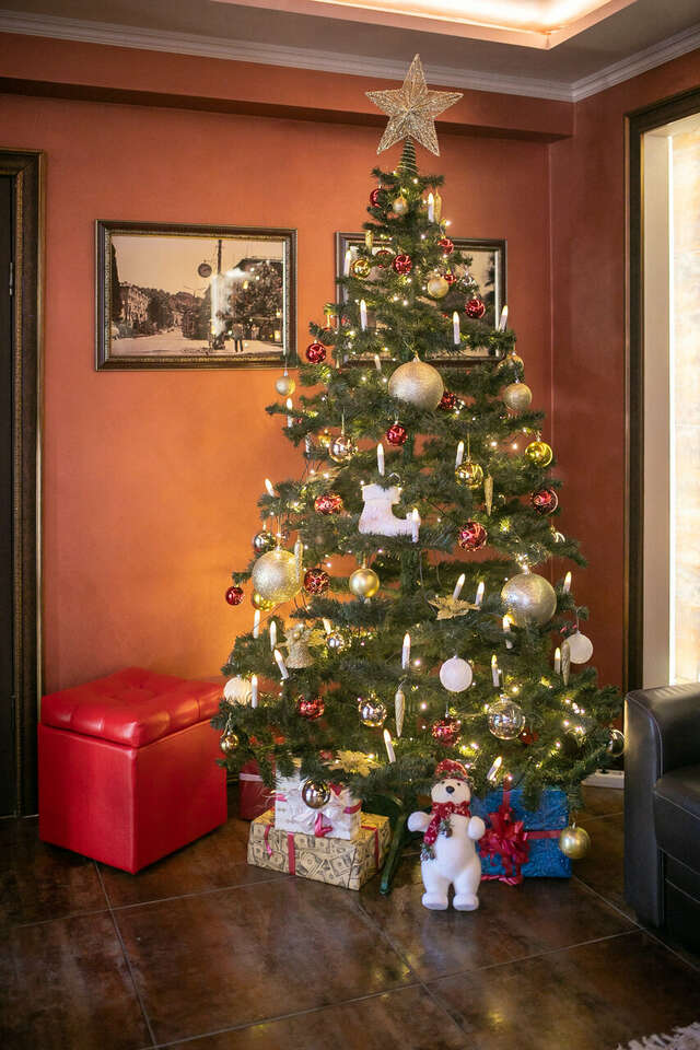 Гостиница Жемчуг Сочи-131